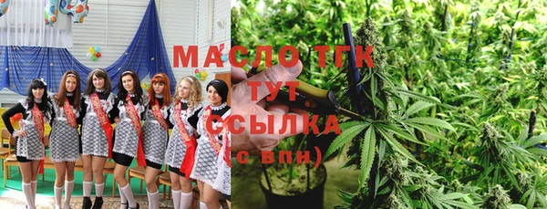 прущий лед Бородино