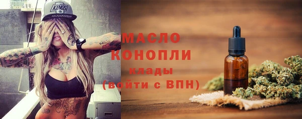 прущий лед Бородино