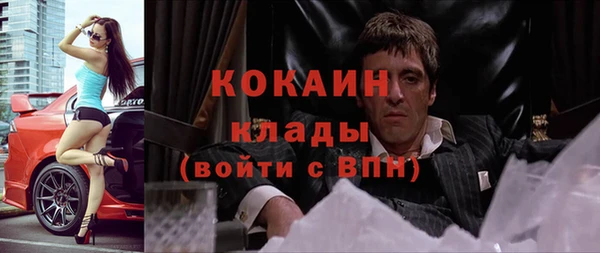 прущий лед Бородино