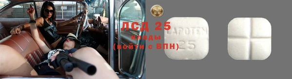 прущий лед Бородино