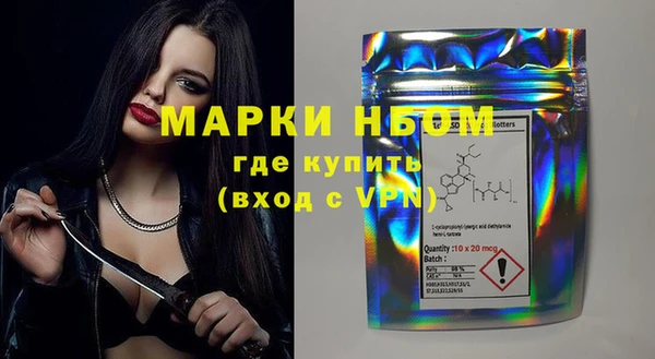 прущий лед Бородино