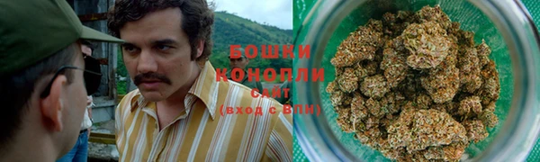 прущий лед Бородино