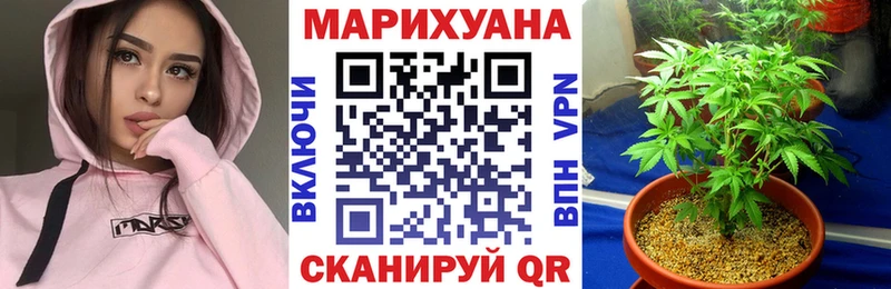Бошки марихуана Bruce Banner  где купить наркоту  Нытва 